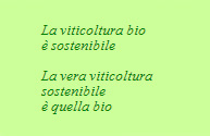 la_viticoltura